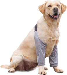 Produktbild von LuxusKollektion Schutzkragen Recovery Sleeve Hund Ellbogenbandage Ellbogenschoner Vorderbeine
