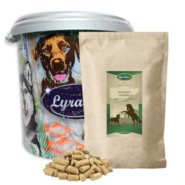 Produktbild von Lyra Horse Bananen Leckerli - 5 kg