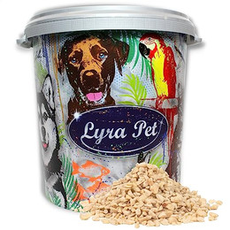 Produktbild von Lyra Pet® Erdnusskerne weiß gehackt - 10 kg