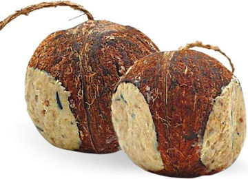 Lyra Pet Gefüllte Kokosnuss mit Löchern - 3 x 4 Stk. – Bild 1 von 7