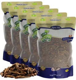 Produktbild von Lyra Pet® getrocknete Heuschrecken - 5 kg