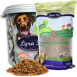 Produktbild von Lyra Pet® getrocknete Soldatenfliegenlarven - 5 kg