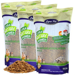 Produktbild von Lyra Pet® getrocknete Soldatenfliegenlarven - 15 kg