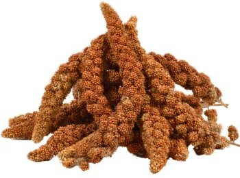 Produktbild von Lyra Pet® Kolbenhirse rot - 2 kg