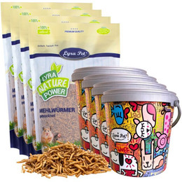 Produktbild von Lyra Pet Mehlwürmer getrocknet - 4 x 10 l