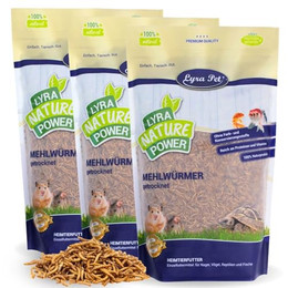 Produktbild von Lyra Pet Mehlwürmer getrocknet - 3 x 10 l