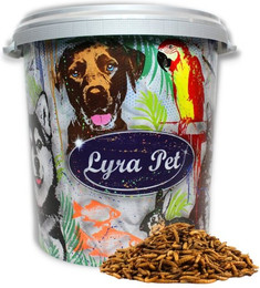 Produktbild von Lyra Pet® Mehlwürmer- und Soldatenfliegenlarven-Mix - 5 kg