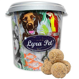 Produktbild von Lyra Pet® Meisenknödel ohne Netz - 100 x 90 g