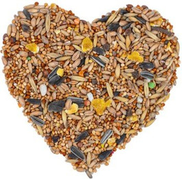 Produktbild von Lyra Pet® Nymphensittichfutter Großsittichfutter - 20 kg