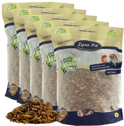Produktbild von Lyra Pet® Protein Boost Insekten Mix - 5 kg