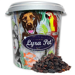 Produktbild von Lyra Pet® Rosinen Wildvogelfutter - 10 kg