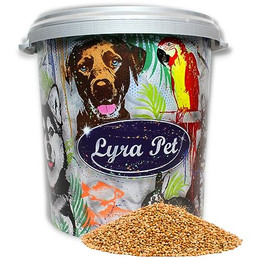 Produktbild von Lyra Pet® rote lose Hirse - 10 kg