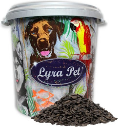 Produktbild von Lyra Pet® Schwarze Sonnenblumenkerne - 10 kg