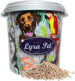 Lyra Pet Sonnenblumenkerne geschält - 10 kg – Bild 1 von 5