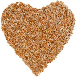 Produktbild von Lyra Pet® Wellensittichfutter - 25 kg