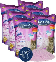 Produktbild von Lyra Power Clumping Silica Silikat Katzenstreu - 6 x 5 l