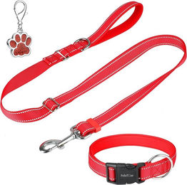 LA CUTE Hundehalsband und Leine Set reflektierend und gepolstert mit Neopren für Hunde aller Größen – Bild 1 von 5