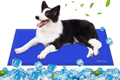 LA CUTE Selbstkühlende Hundematte für Hunde und Katzen mit druckaktiviertem Gel, wasserabweisend, Blau, 90x50 cm - 90 cm – Bild 1 von 5