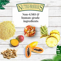 Produktbild von Lafeber Nutri-Berries Tropische Früchte Papagei Snack 1,36 kg