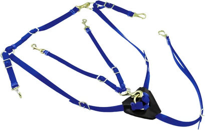 Produktbild von Lakota Biothane Jagdhalsband mit Martingal für Pferde in Blau