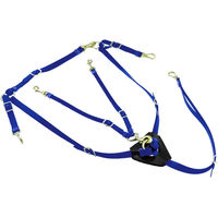Produktbild von Lakota Biothane Jagdhalsband mit Martingal für Pferde in Blau