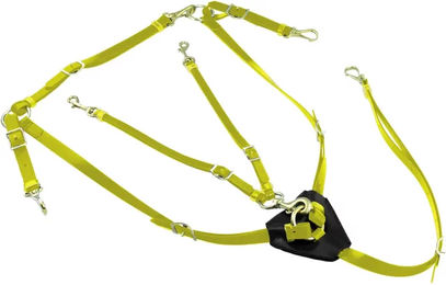 Produktbild von Lakota Biothane Jagdhalsband mit Martingal für Pferde in Gelb