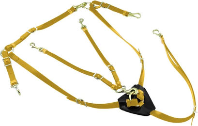 Lakota Biothane Jagdhalsband mit Martingal für Pferde in Gelb – Bild 1 von 1