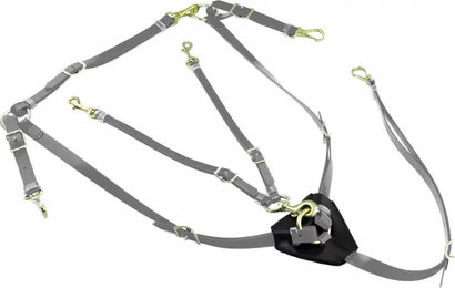 Produktbild von Lakota Biothane Jagdhalsband mit Martingal für Pferde in Grau und Silber