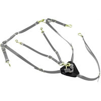 Produktbild von Lakota Biothane Jagdhalsband mit Martingal für Pferde in Grau und Silber