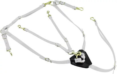 Produktbild von Lakota Biothane Jagdhalsband mit Martingal für Pferde in Weiß