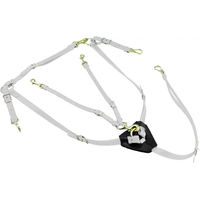 Produktbild von Lakota Biothane Jagdhalsband mit Martingal für Pferde in Weiß