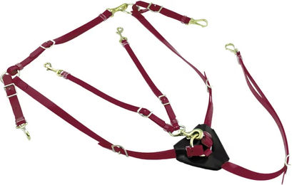 Produktbild von Lakota Biothane Martingal-Halsband für Pferde mit Messing-Schnallen in Rot