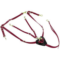Produktbild von Lakota Biothane Martingal-Halsband für Pferde mit Messing-Schnallen in Rot