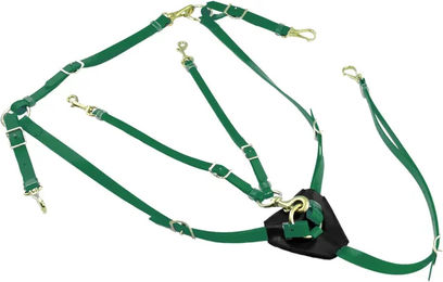 Produktbild von Lakota Jagdhalsband mit Martingal aus Biothane in Grün für Hunde