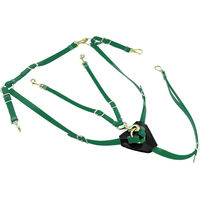 Produktbild von Lakota Jagdhalsband mit Martingal aus Biothane in Grün für Hunde