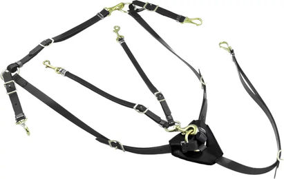 Produktbild von Lakota Jagdhalsband mit Martingal aus Biothane in Schwarz