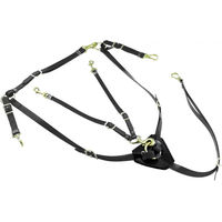 Produktbild von Lakota Jagdhalsband mit Martingal aus Biothane in Schwarz