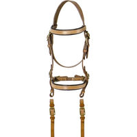 Produktbild von Lakota Reittrense aus Leder mit Zügel in Beige und Braun