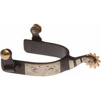 Produktbild von Lakota Westernreitsporen mit Metallplatte in Schwarz und Silber