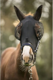 Produktbild von Lami-Cell Fliegenmaske für Pferde aus Lycra Schwarz XL