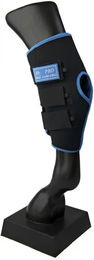Produktbild von Lami-Cell Ice Boots Sprunggelenkschoner für Pferde aus Neopren Schwarz