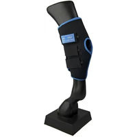 Produktbild von Lami-Cell Ice Boots Sprunggelenkschoner für Pferde aus Neopren Schwarz