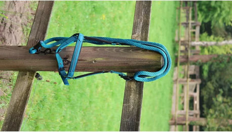 Produktbild von Lami-Cell Longe Reiten Charming Schwarz Türkis