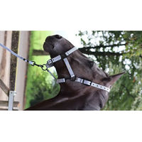 Produktbild von Lami-Cell Longe Reiten Midnight Schwarz Grau