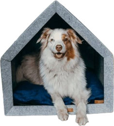 Lamoha Hundehaus aus Filz in Hellgrau Größe S – Bild 1 von 2