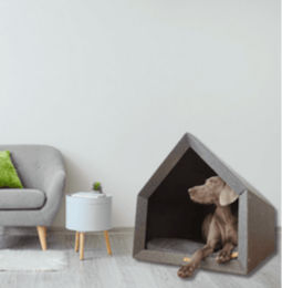 Lamoha Hundehütte in Dunkelgrau Größe S – Bild 1 von 2