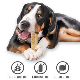 Larsson ZIGY Kaukäse Dillkraut Kaustange für Hunde aus Ziege Größe L 3er Set - 3 x 80 g – Bild 1 von 4