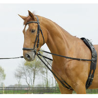 Produktbild von Laufferzügel Basic Busse aus Leder für Ponys in Schwarz