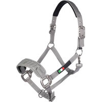 Produktbild von Lauria Garrelli Livigno Pferd Halfter aus Nylon in Grau mit Silber