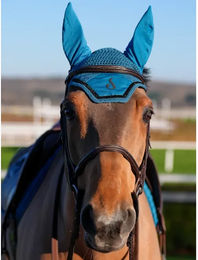 Produktbild von Le Sabotier Ludwig Fliegenhaube für Ponys in Grün oder Blau